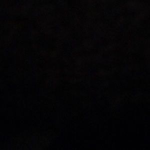 Meet your Posher, Veronika